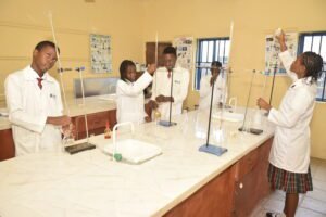 DSC0368 scaled DSC0368 scaled